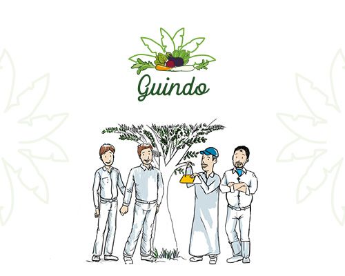 Creation logo Guindo association agriculture à Marrakech
