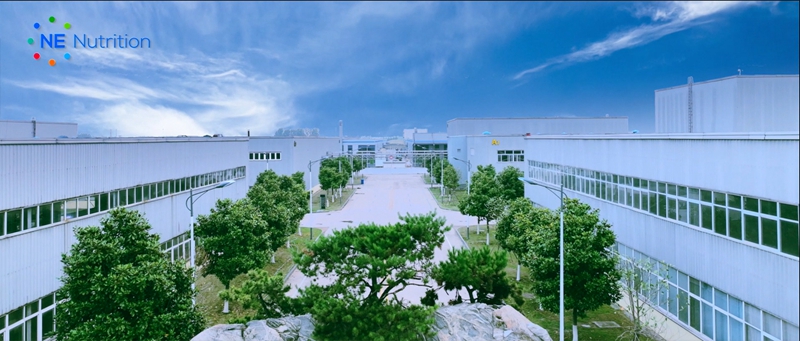厂容厂景