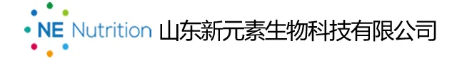  世界杯官方网页版